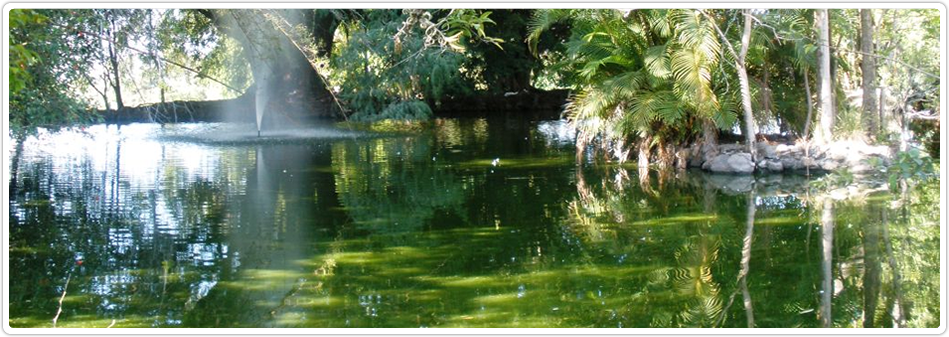 Bienvenidos al Club de Golf de Cuernavaca